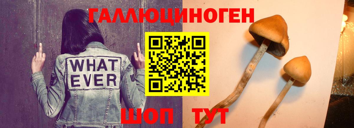 Галлюциногенные грибы Cubensis  Вход с VPN  где купить наркоту  Ростов Великий 